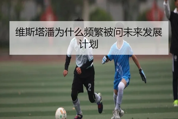 维斯塔潘为什么频繁被问未来发展计划
